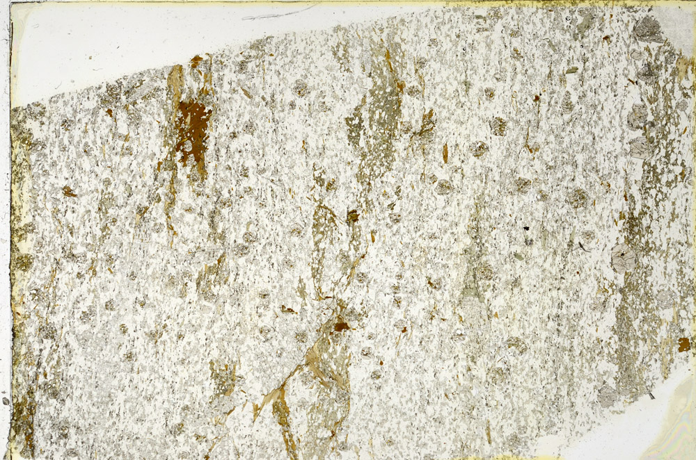 Plane Polarized, N3817