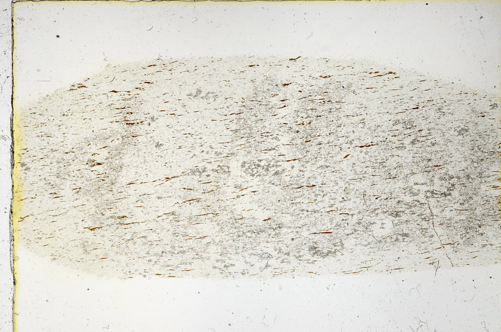 Plane Polarized, N3818
