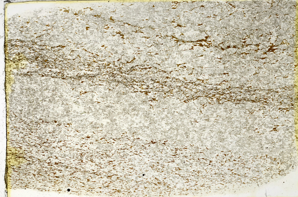 Plane Polarized, N3820