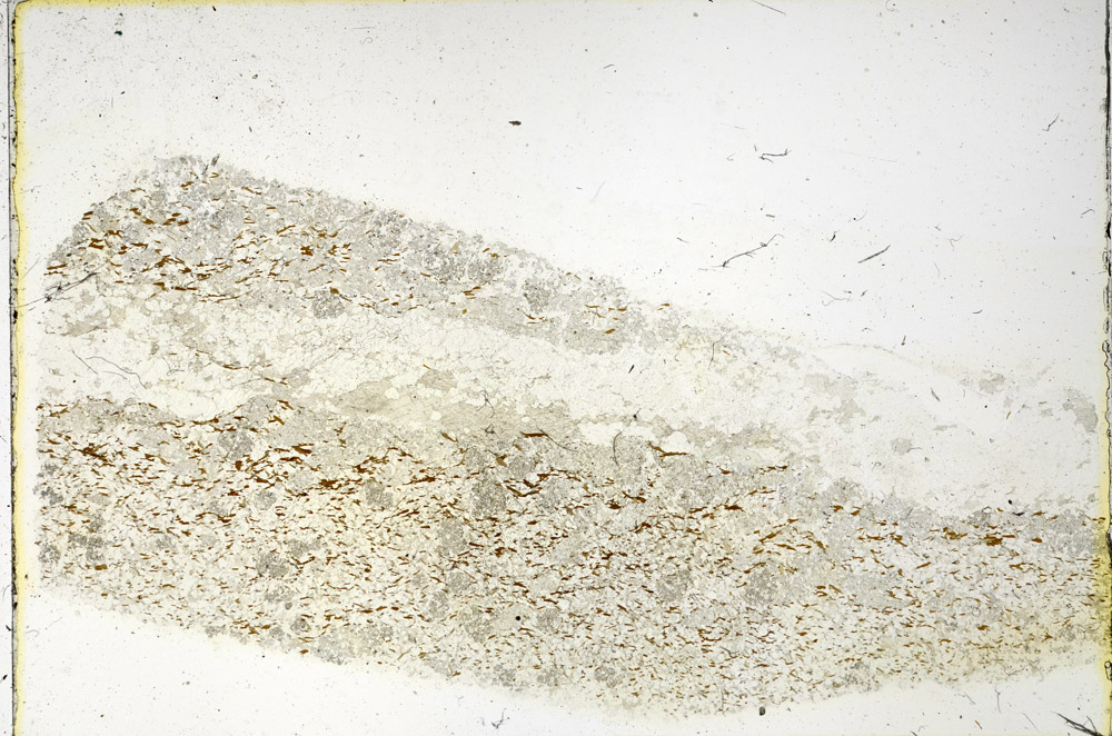 Plane Polarized, N3821