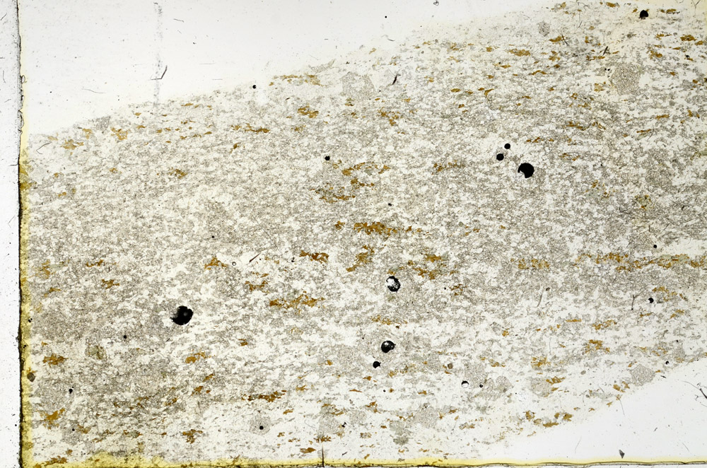 Plane Polarized, N3824