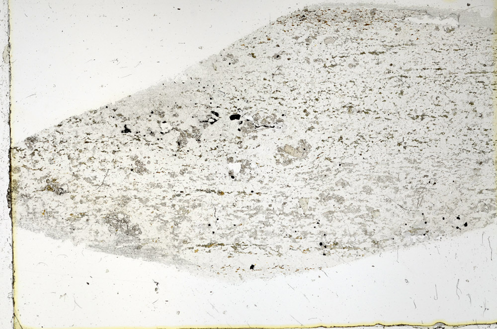 Plane Polarized, N3828
