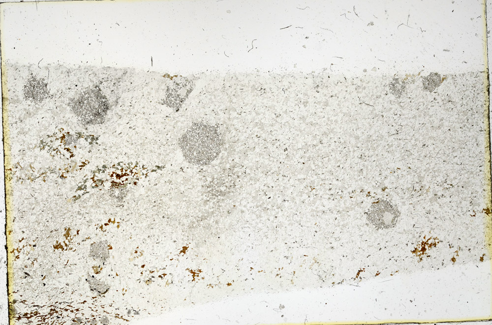 Plane Polarized, N3829