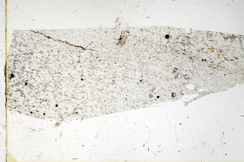 Plane Polarized, N3835