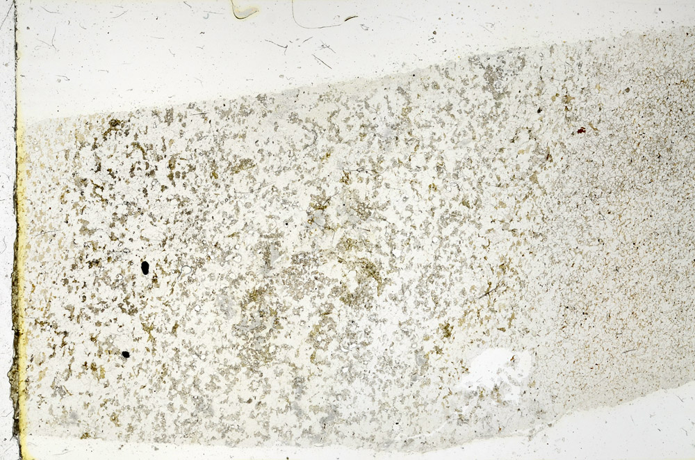 Plane Polarized, N3836