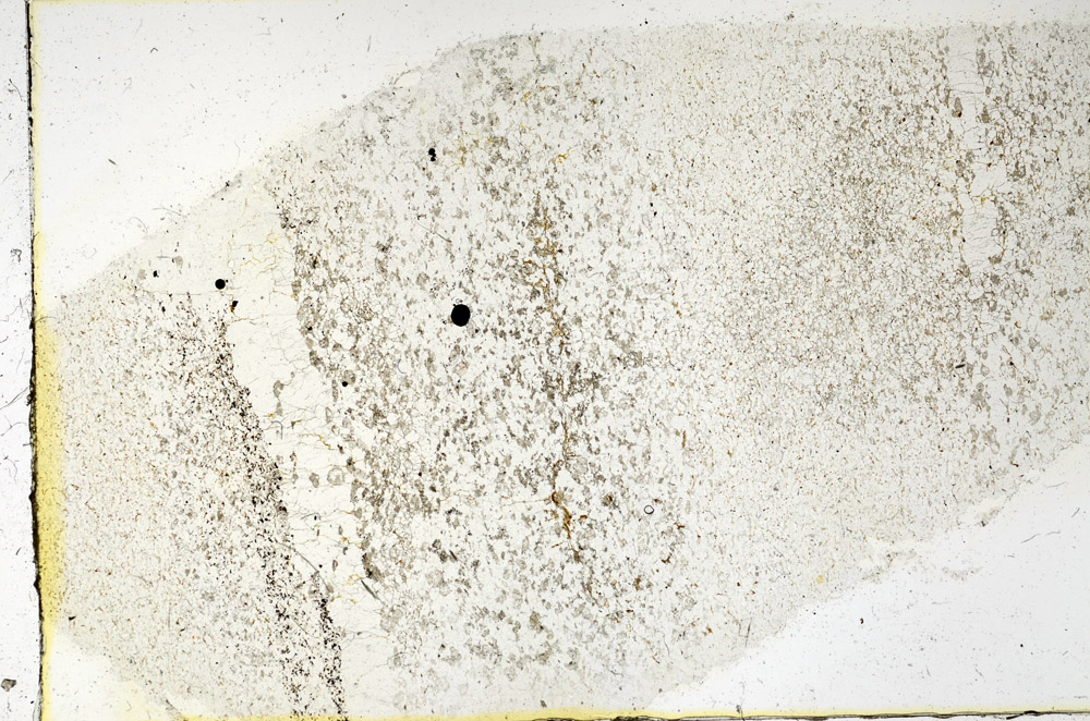 Plane Polarized, N3837