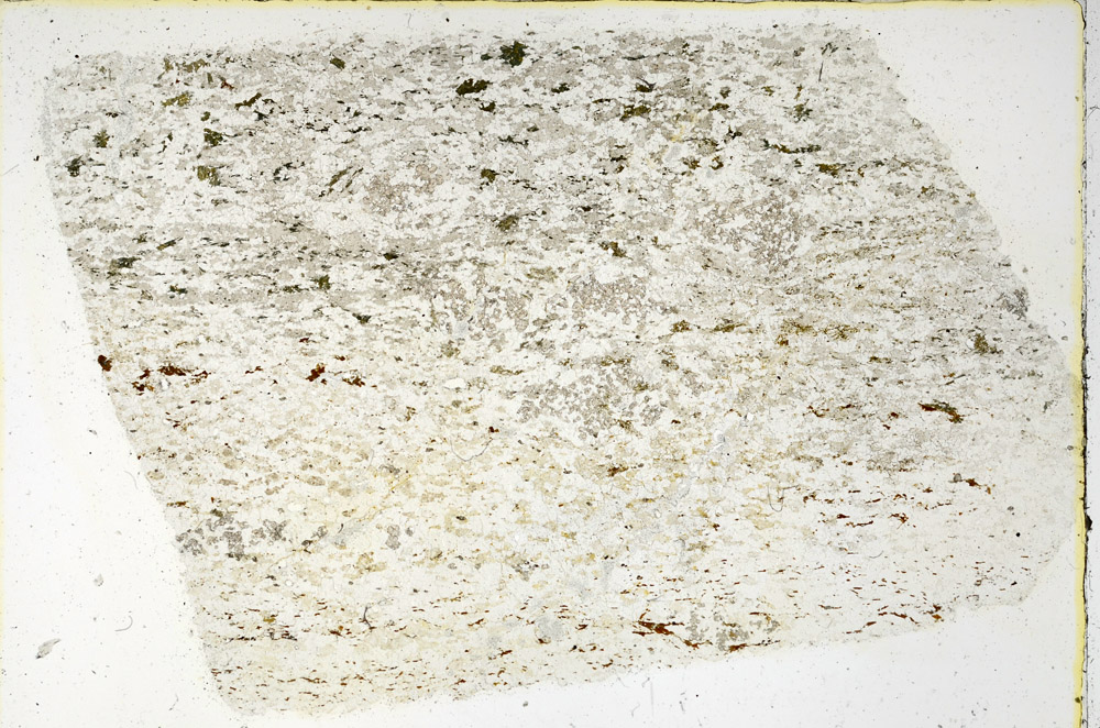 Plane Polarized, N3838