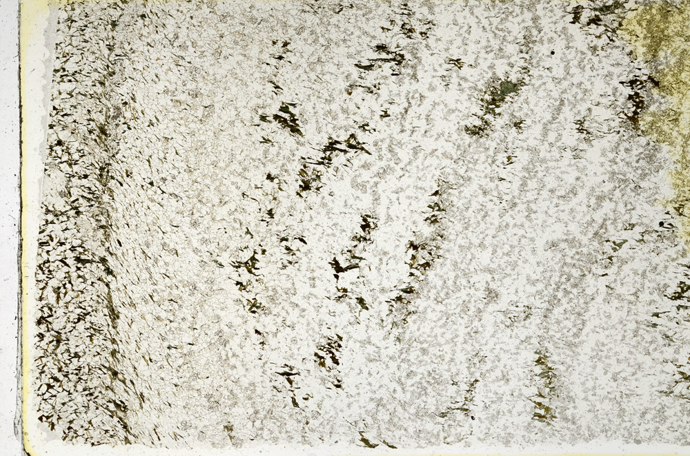 Plane Polarized, N3839