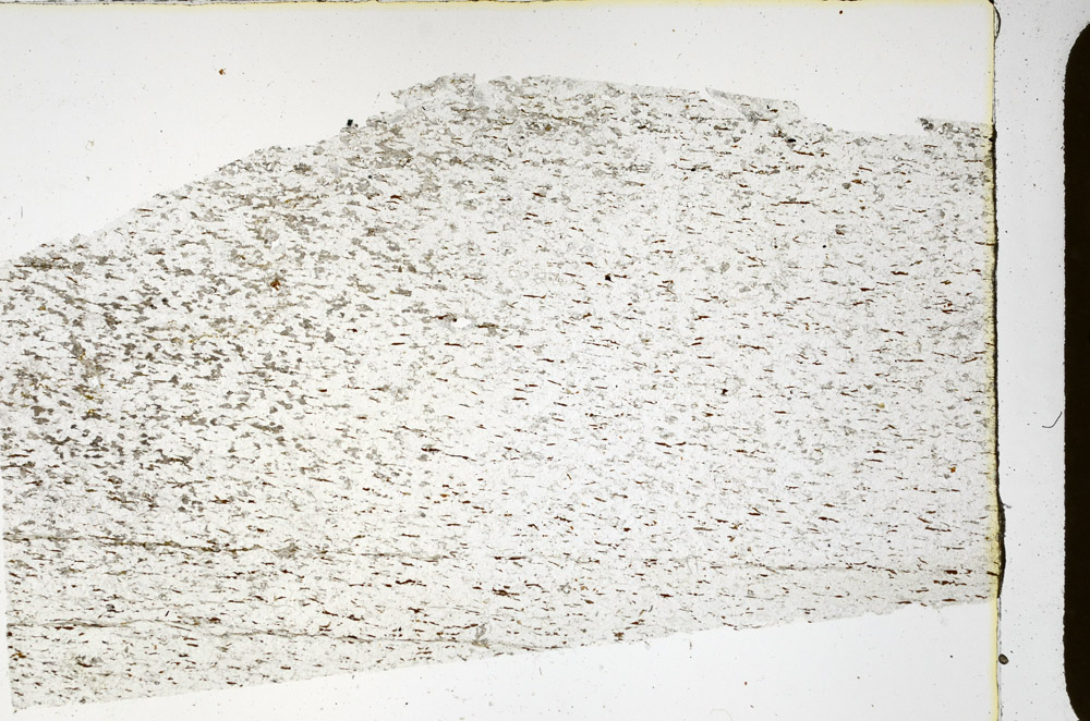 Plane Polarized, N3841