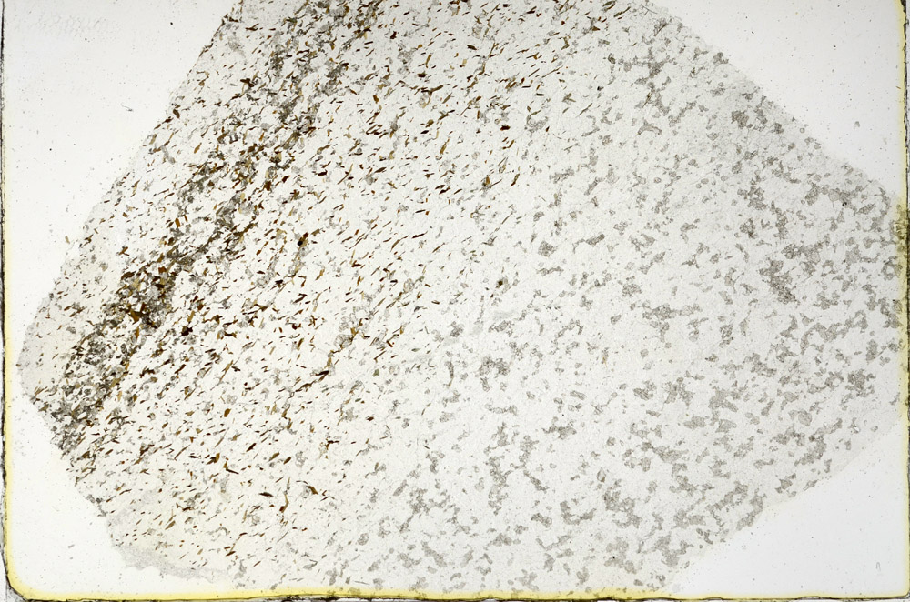 Plane Polarized, N3842