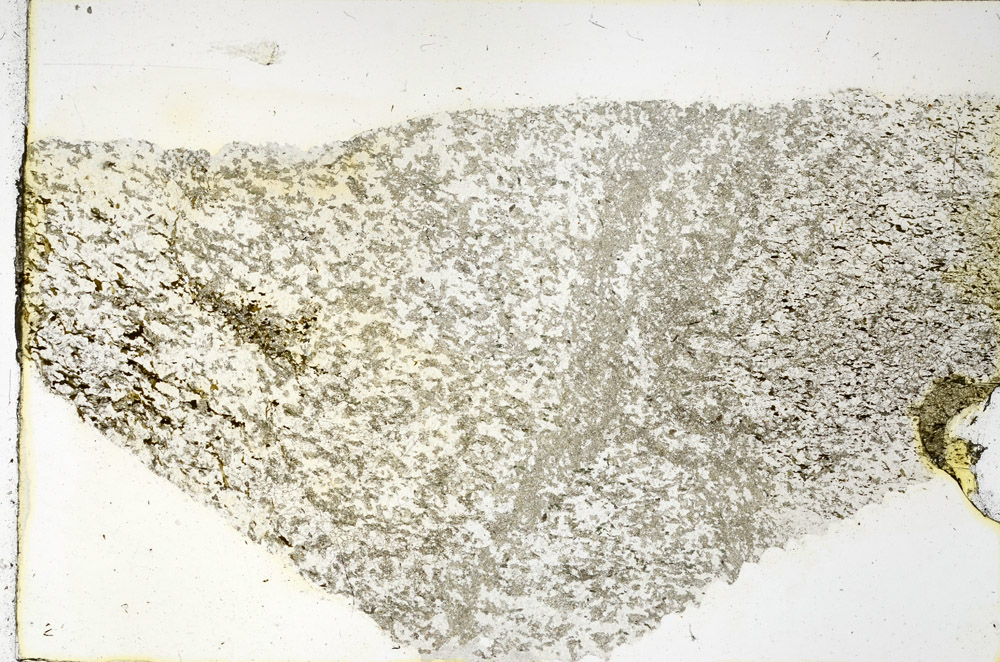 Plane Polarized, N3844