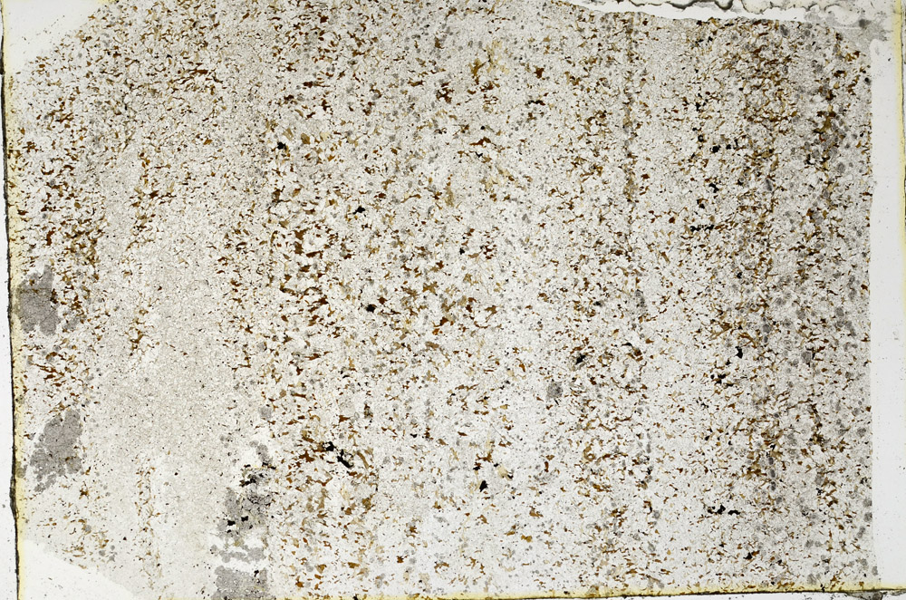 Plane Polarized, N3845