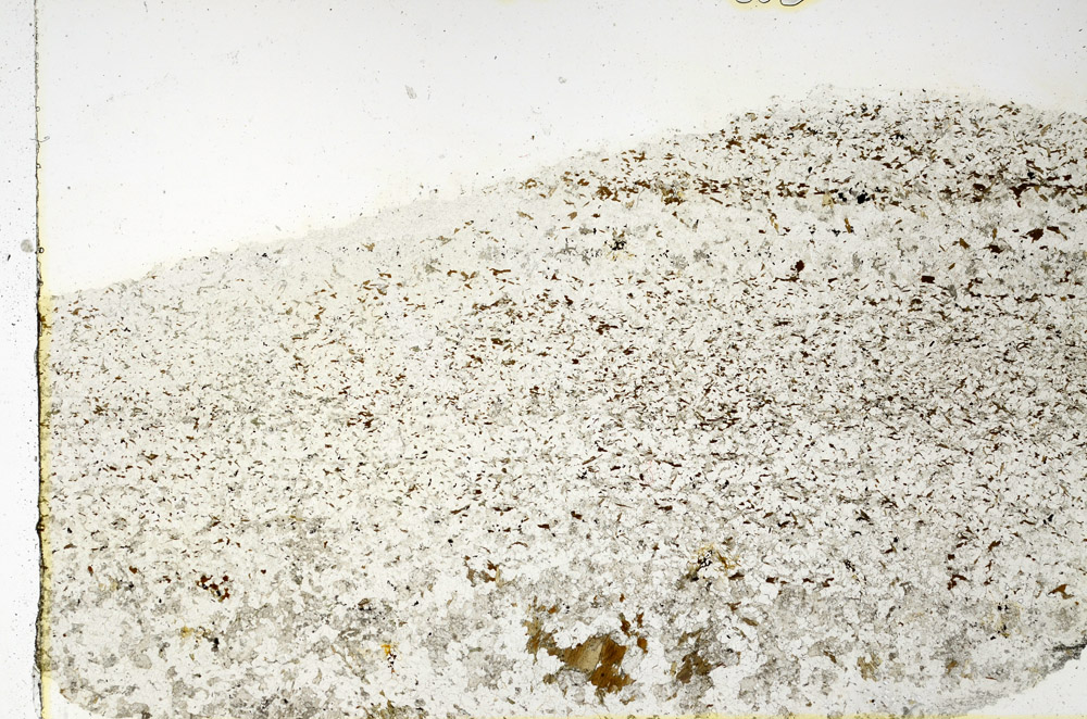 Plane Polarized, N3861