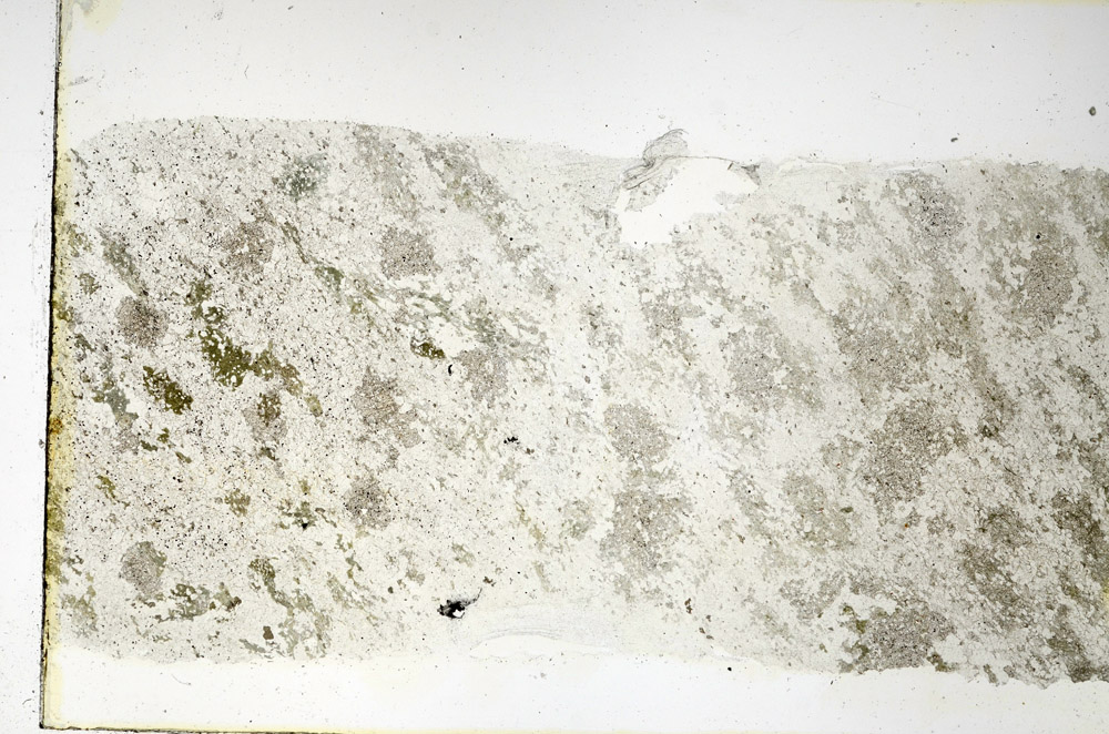 Plane Polarized, N3862