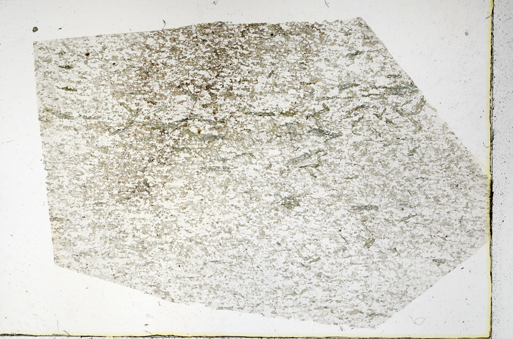 Plane Polarized, N3865