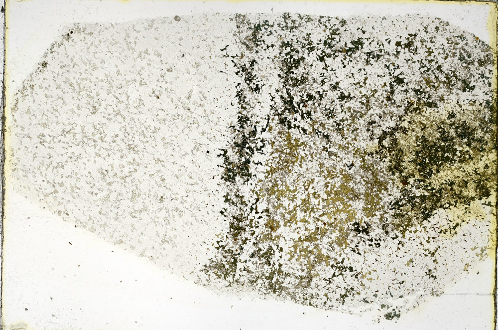 Plane Polarized, N3866