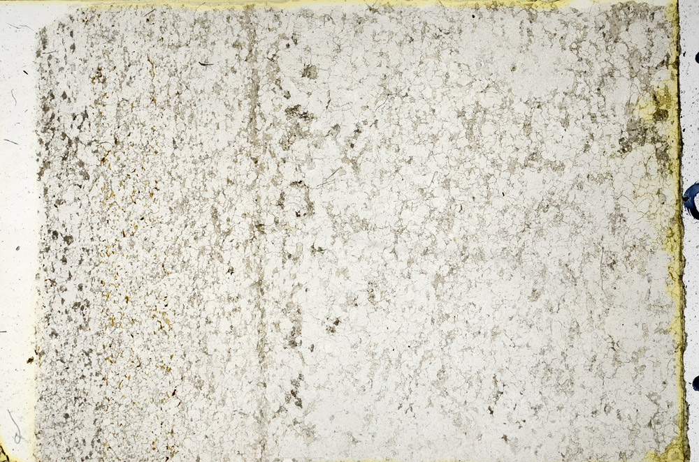 Plane Polarized, N3874