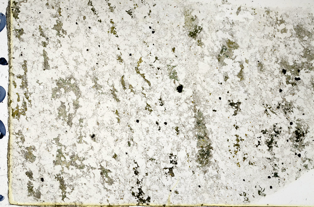 Plane Polarized, N3878