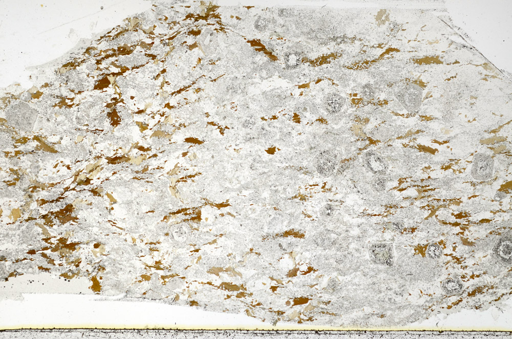 Plane Polarized, N3882