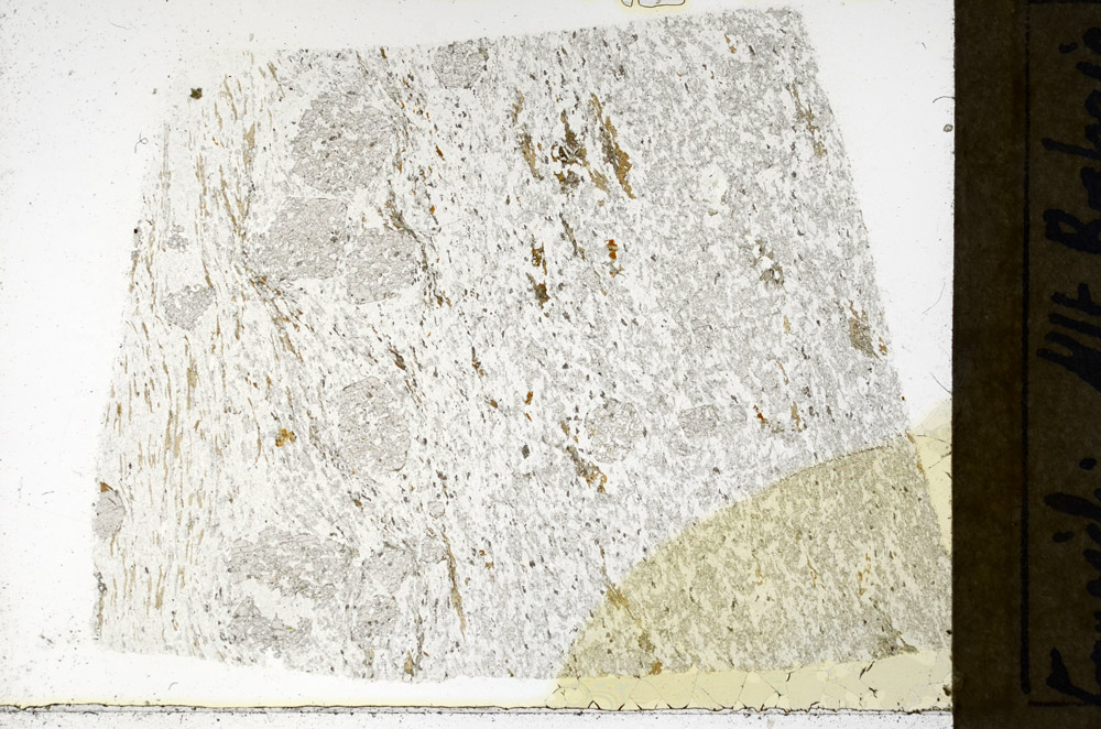 Plane Polarized, N3883