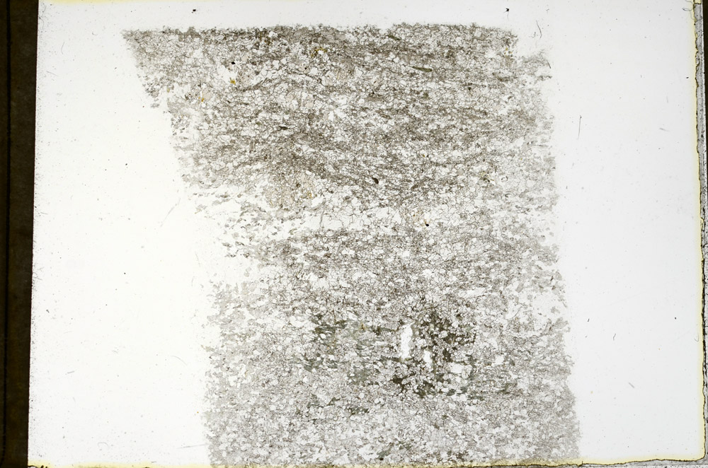 Plane Polarized, N3887