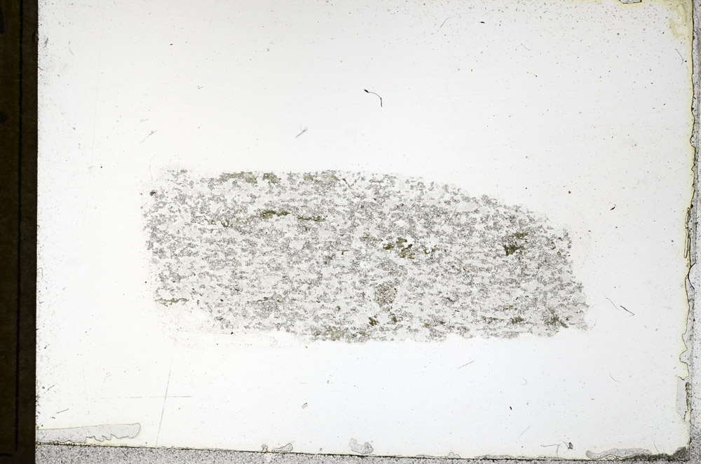 Plane Polarized, N3888