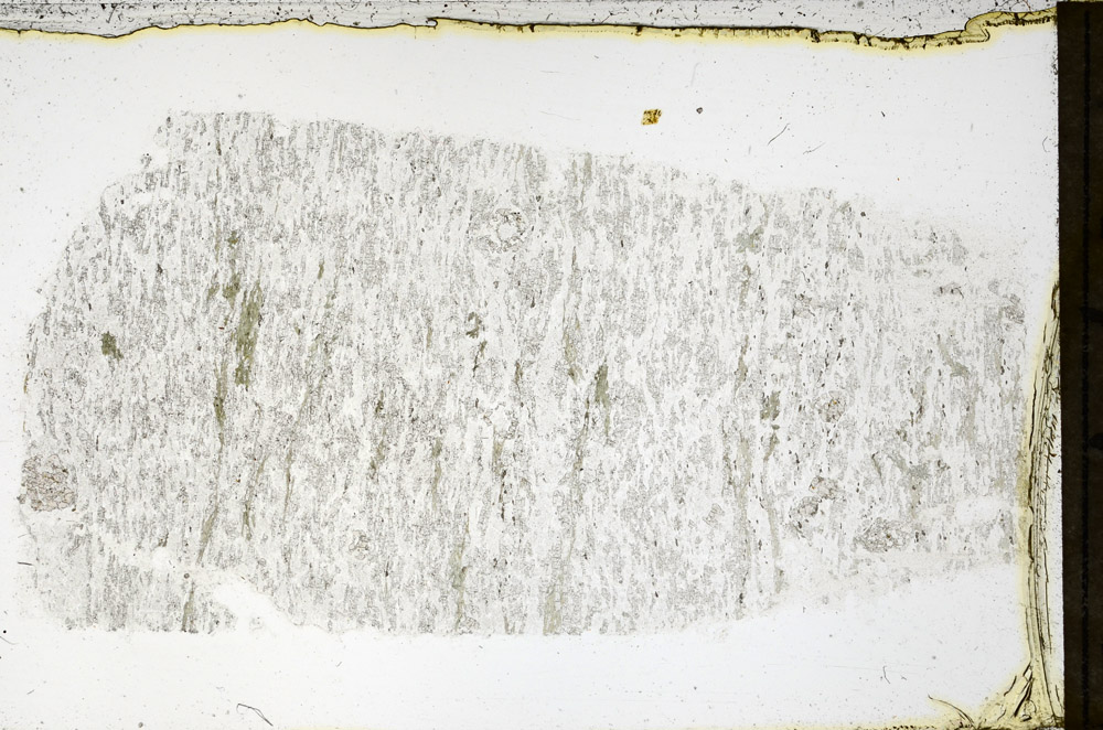 Plane Polarized, N3889