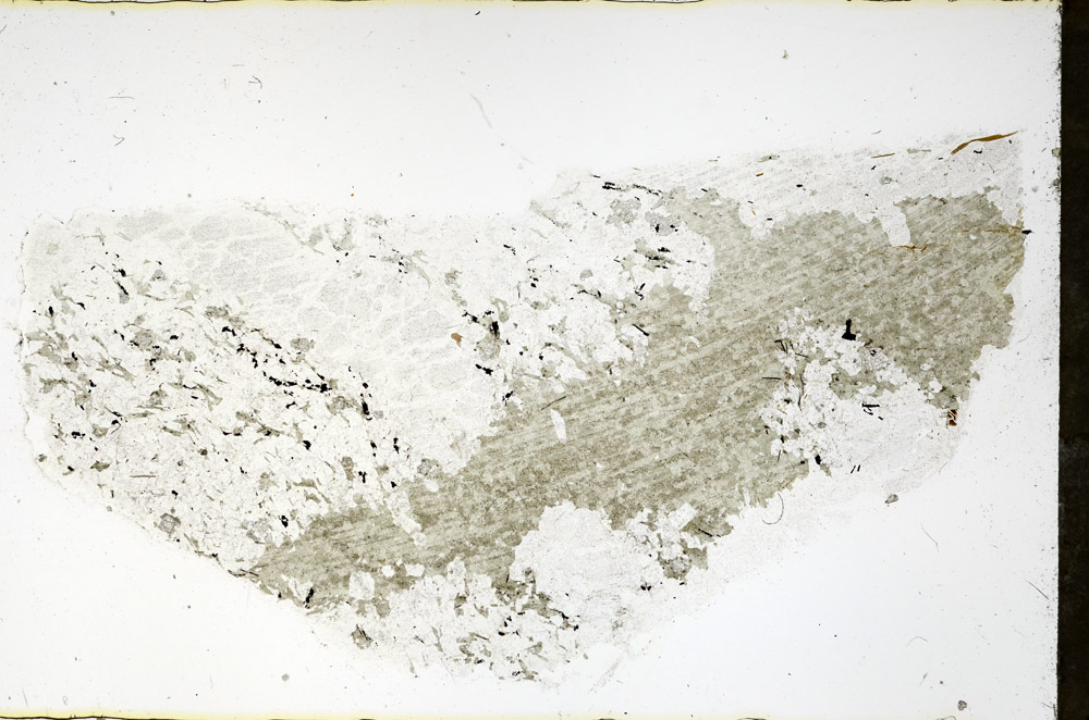 Plane Polarized, N3890