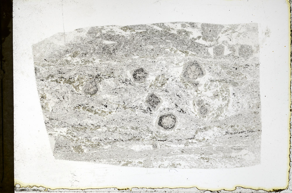 Plane Polarized, N3893