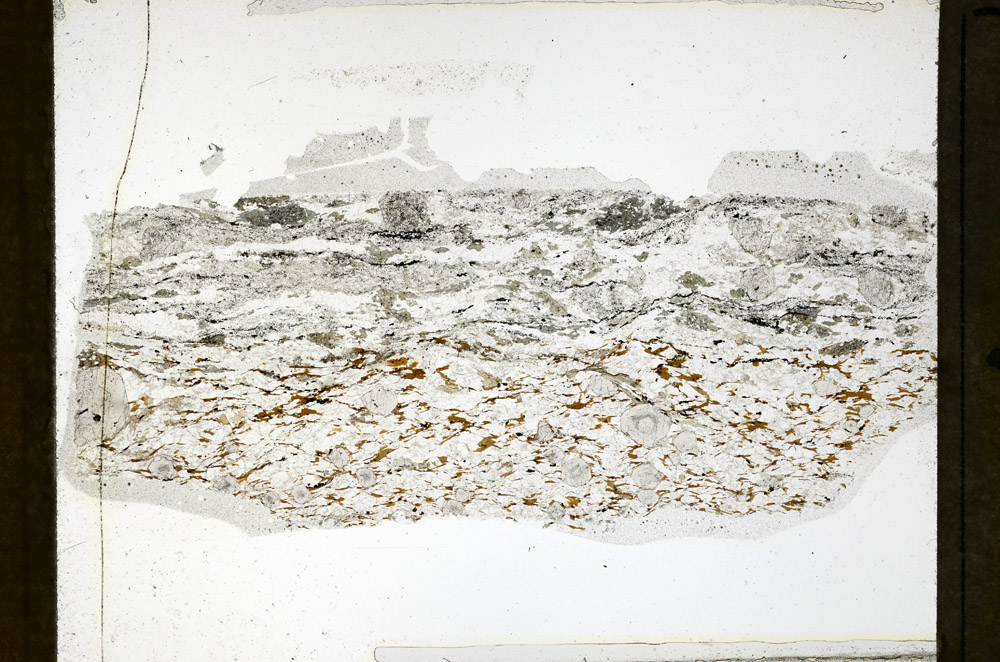 Plane Polarized, N3895