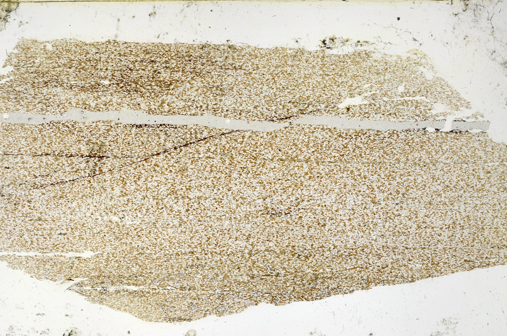 Plane Polarized, N3903