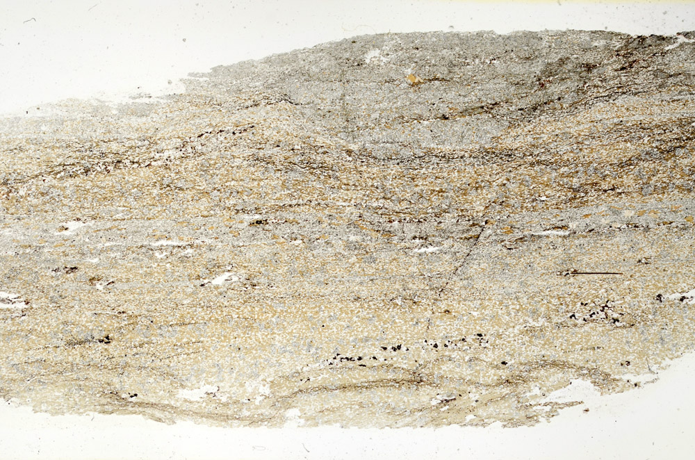 Plane Polarized, N3908