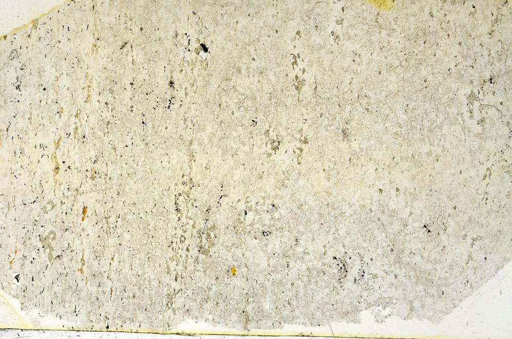 Plane Polarized, N3912