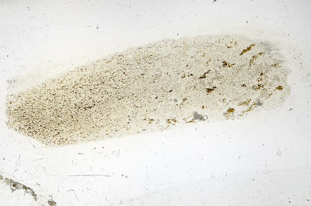 Plane Polarized, N3914