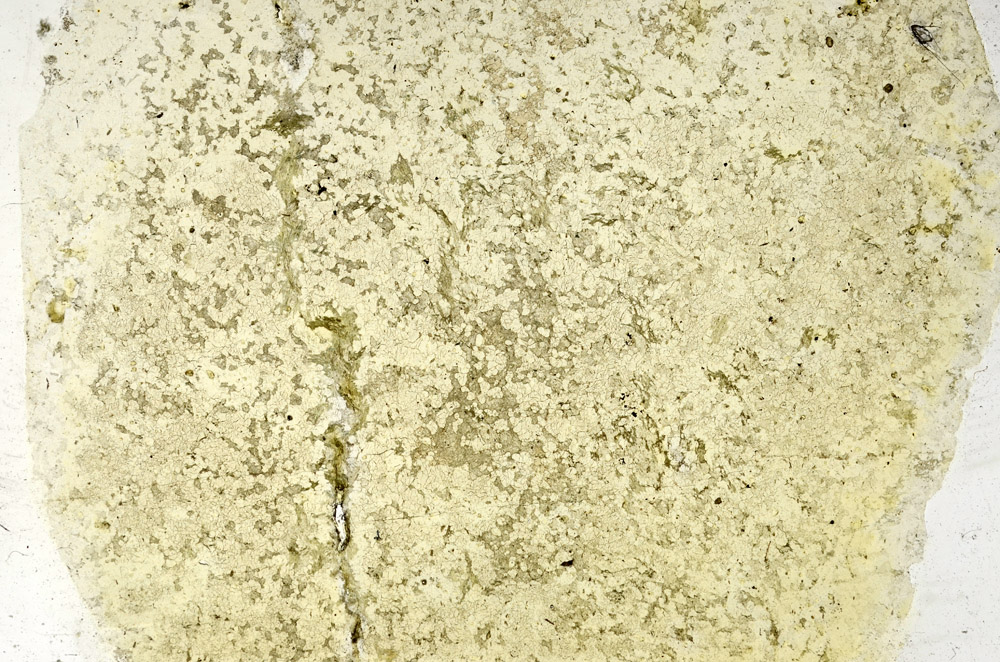 Plane Polarized, N3915
