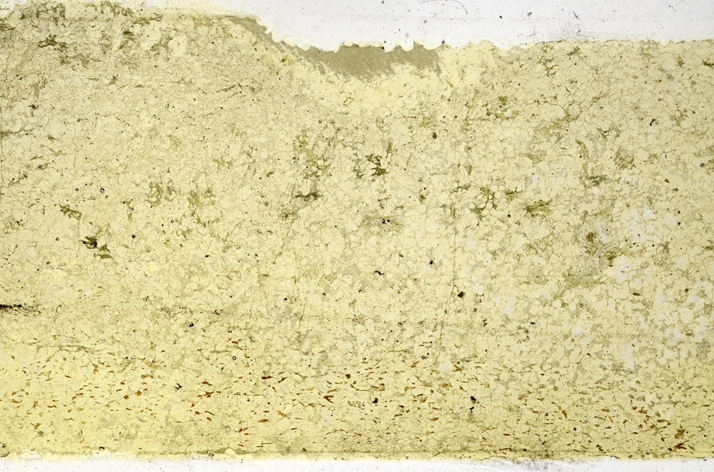 Plane Polarized, N3916