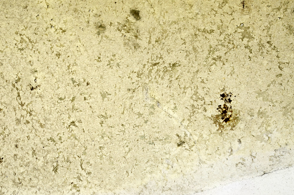 Plane Polarized, N3918