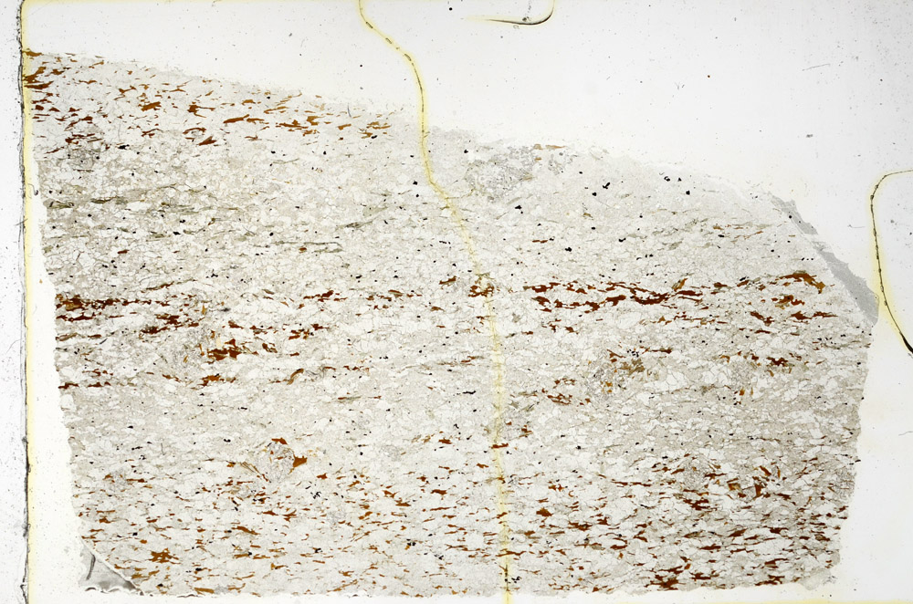 Plane Polarized, N3920