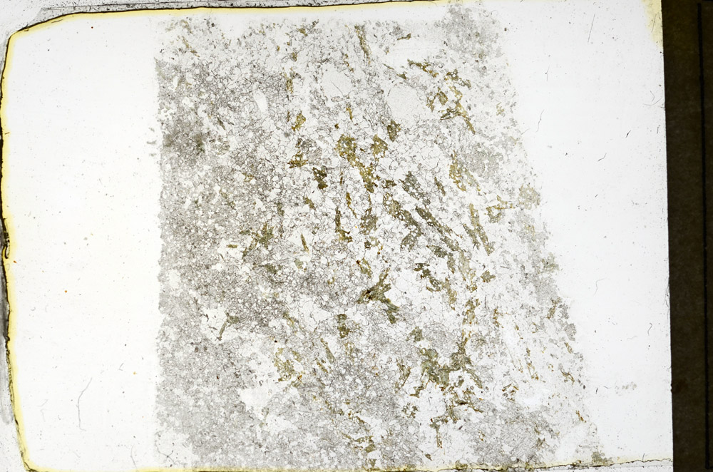 Plane Polarized, N3921