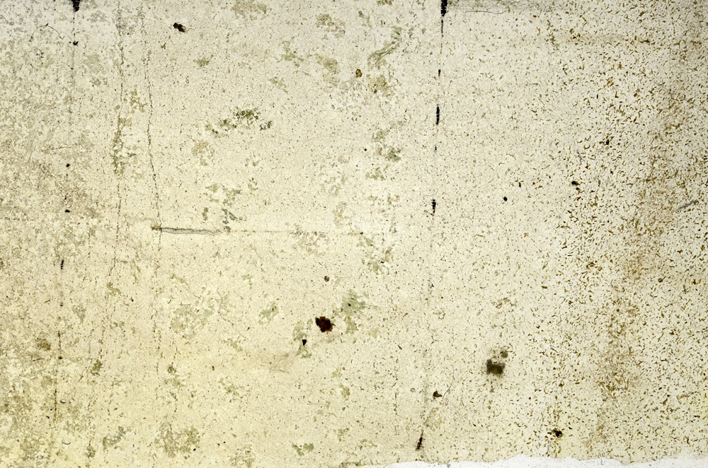 Plane Polarized, N3922