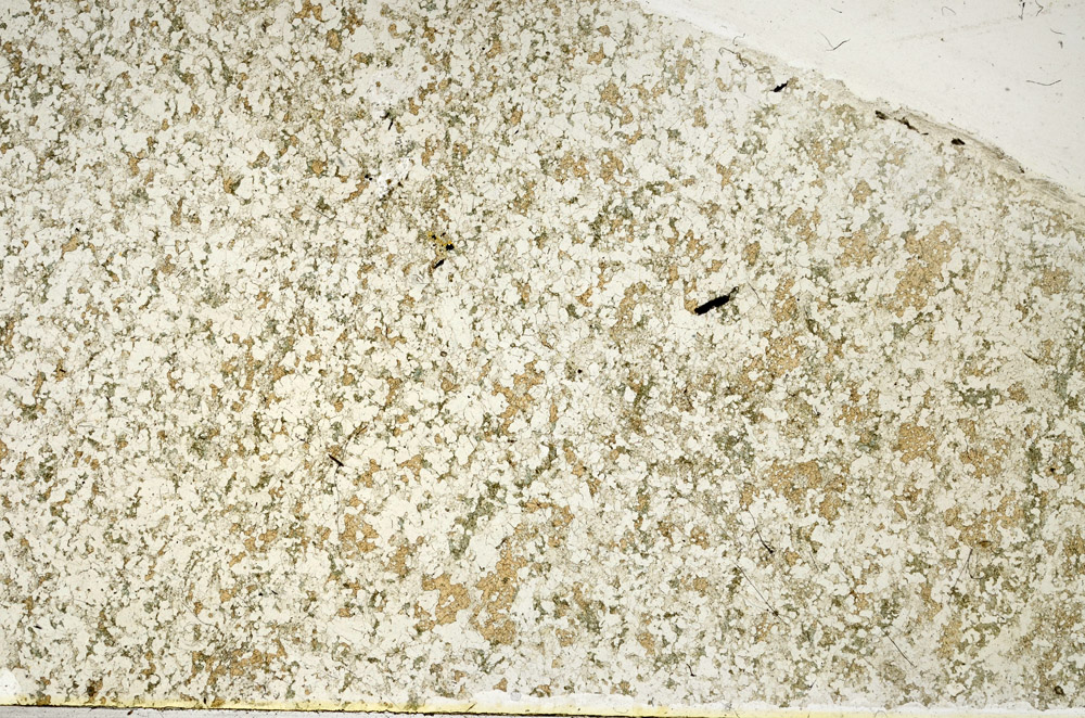 Plane Polarized, N3924