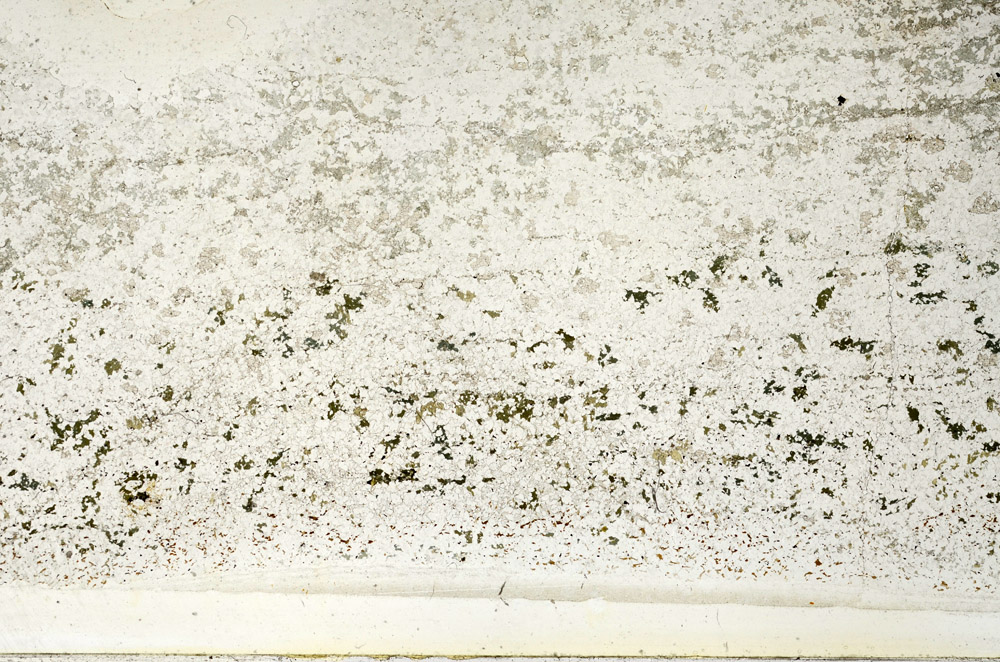 Plane Polarized, N3926
