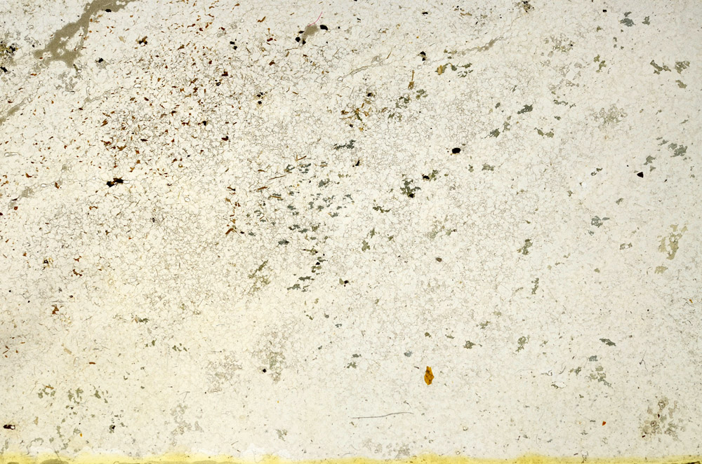Plane Polarized, N3927