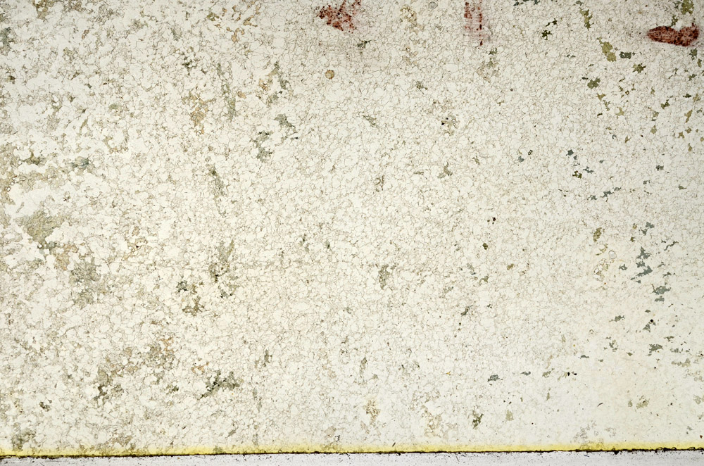 Plane Polarized, N3928