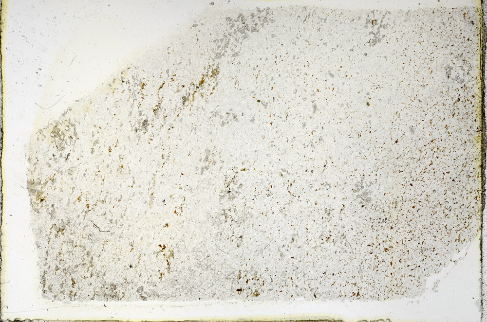 Plane Polarized, N3929