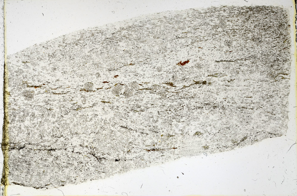 Plane Polarized, N3930