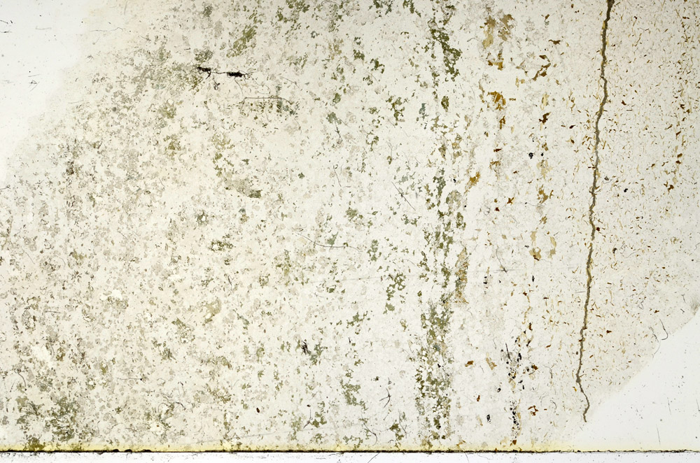 Plane Polarized, N3932