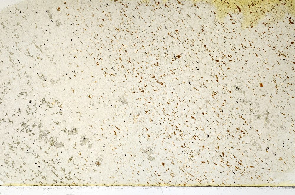 Plane Polarized, N3933