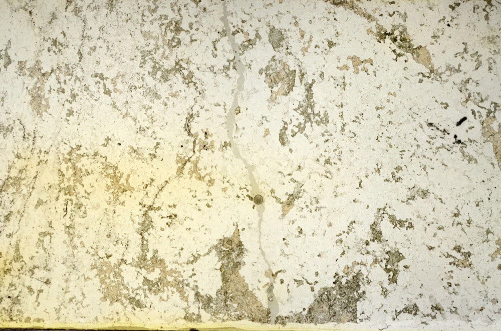 Plane Polarized, N3936