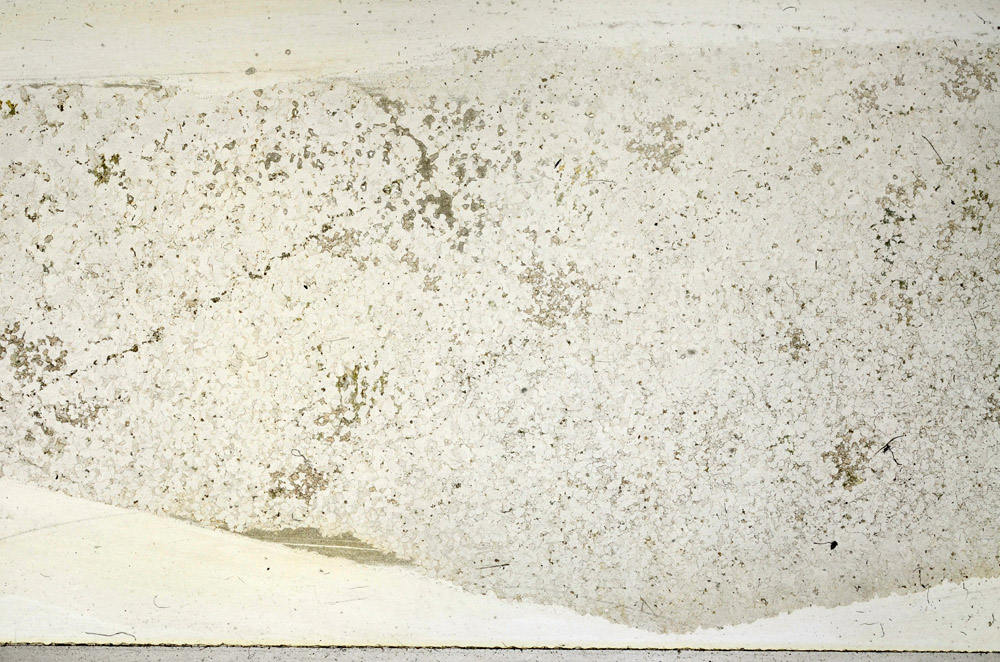 Plane Polarized, N3937
